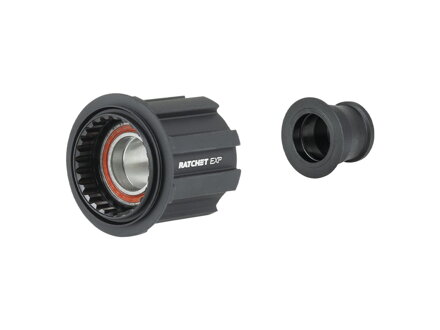 Bontrager Ratchet EXP Campagnolo N3W Freilauf – Schwarz