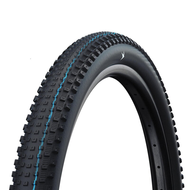 SCHWALBE Reifen RICK XC PRO (62-622) 29x2,40 Evolution 67EPI 760g Schwarz TLR SpeedGrip